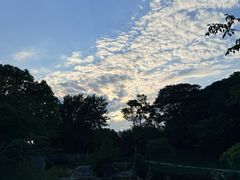 -羊山湖公园
