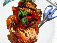 -珍宝海鲜JUMBO Seafood(ifc店)