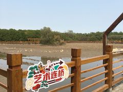 -大湾区中央湿地公园