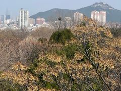 -千佛山风景名胜区