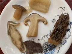 -蘑统田下·野生菌火锅