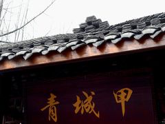 -青城甲(青城山店)