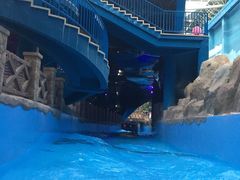 -青岛东方影都融创水世界