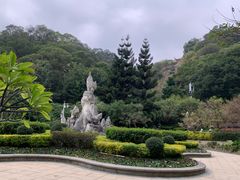 -金鸡山公园