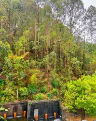 -爱丽馨御景月子中心