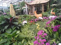 -兰陵国家农业公园