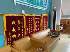 -瑞派雷欧宠物医院·中兽医·眼科·急重症转诊中心(黄台店)