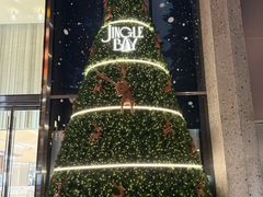 -深圳湾万象城(南山店)