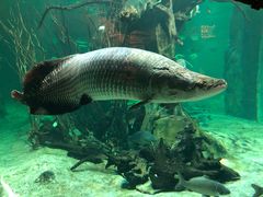 -华夏文旅海洋公园