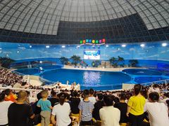 -泉城欧乐堡海洋极地世界