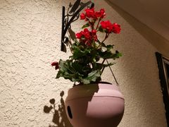 -东方明珠老上海8号餐厅(东方明珠广播电视塔店)