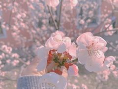 -大连植物园