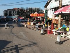 -长宁东道花卉宠物市场