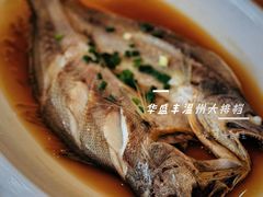 -华盛丰温州大排档(东三环南路店)