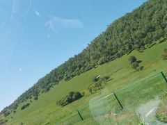 -关山草原