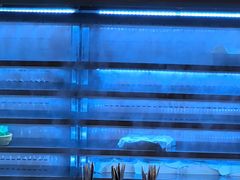 -巴奴毛肚火锅(龙湖锦艺城店)