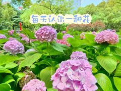-徐家汇公园