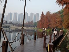 -重庆彩云湖湿地公园