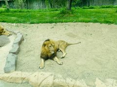 -北京野生动物园