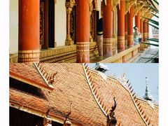 -西双版纳傣族园