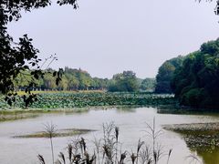 -艾溪湖湿地公园