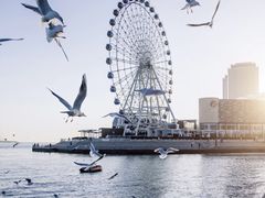 -琴岛之星摩天轮