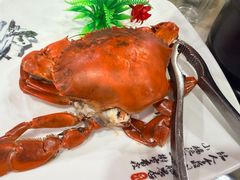 -潘先生平价海鲜城(神州半岛店)