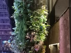 -外婆家(杭州马塍店·杭帮菜名店)