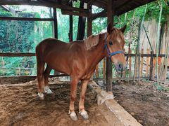 -驿舍·民國老营房院子私房菜(科学会堂店)