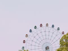 -金卉庄园