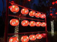 -武汉园博园(武汉自然博物馆)
