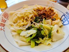 -大嘻咹biangbiang面(历史博物馆店)