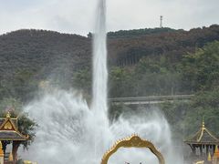 -西双版纳原始森林公园