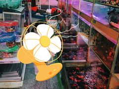 -溪岸路花鸟市场