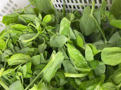 -金鼎雪山牦牛杂火锅(理县总店)