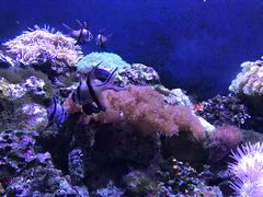 -成都浩海立方海洋公园