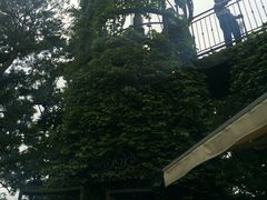 -三鹰之森吉卜力美术馆