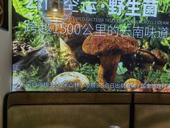 景观位-野·大山里野生菌石锅土鸡(益田假日店)
