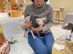 -藏猫猫咖啡主题馆(中央大道店)