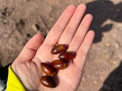 -西湖风景区十里琅珰-五云山