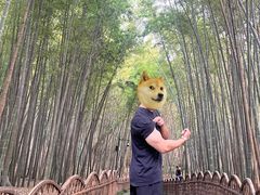 -VPsmart私教健身工作室(新华路旗舰店)