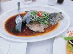 -渔民新村(番禺总店)