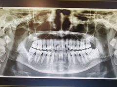 -上海市徐汇区口腔医院