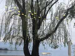 -西昌邛海宾馆