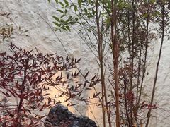 -茅庐毛血旺(临沂泰盛广场店)