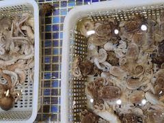 -天盛海鲜烧烤大排档·本地小海鲜·牟平腿穗子(幸福店)