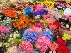 -双季花艺园艺市场(浦东店)