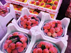 -双福水果批发市场