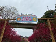-秀丽东方