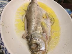 -南京大牌档(凯德大峡谷店)